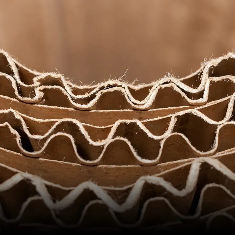 segmento-grafica-corrugado-1×1