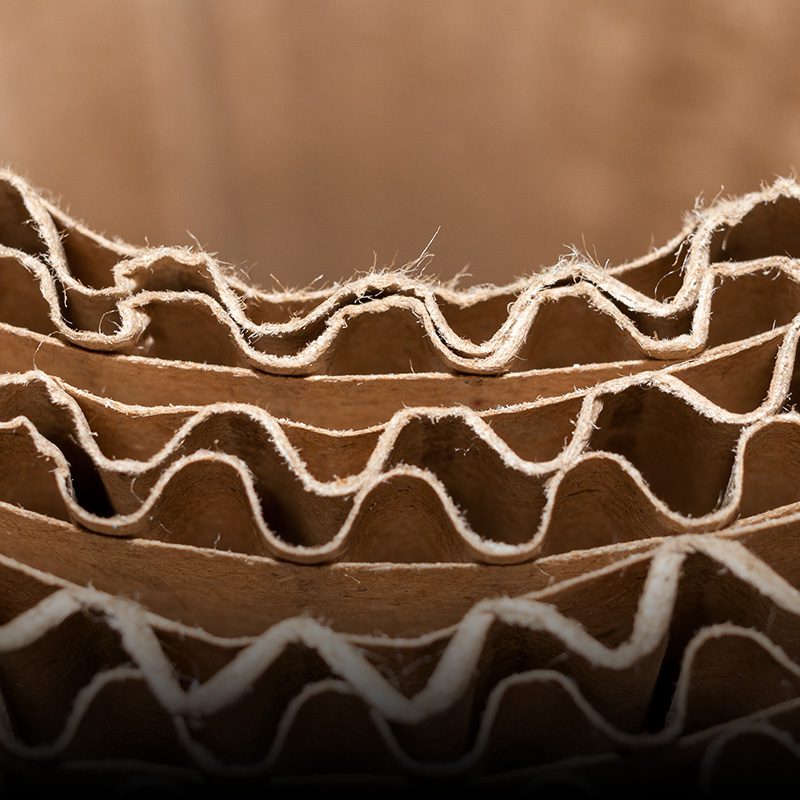 segmento-grafica-corrugado-1×1